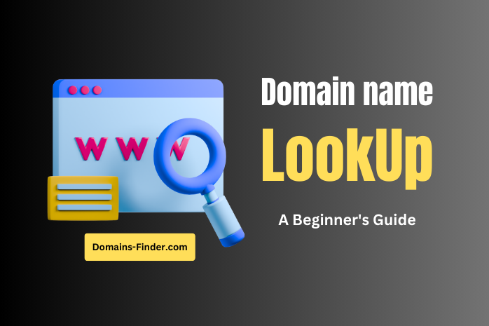 Domain name lookup